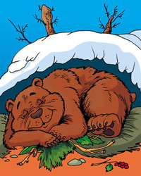 159 Почему медведь зимой спит?